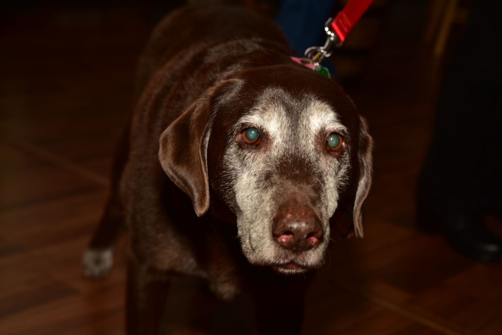 DSC_7354.JPG